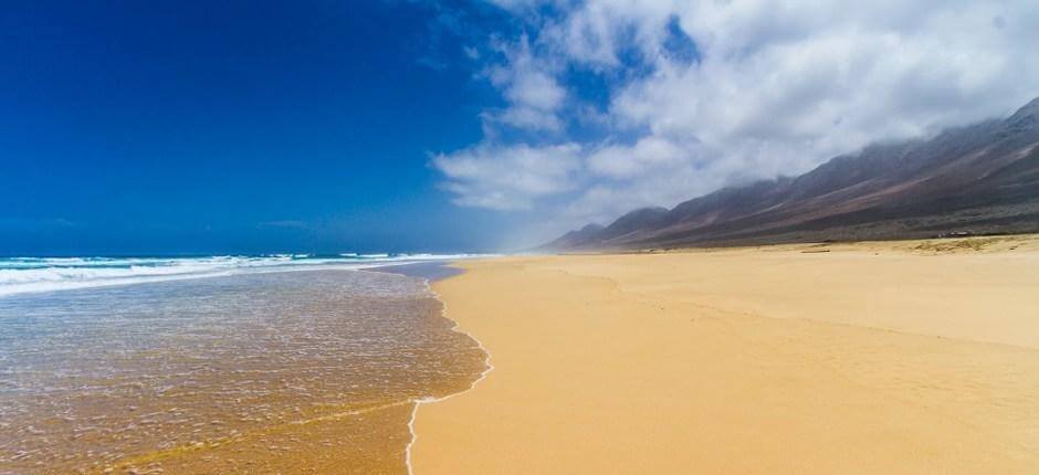 Fuerteventura in 7 giorni: itinerario completo