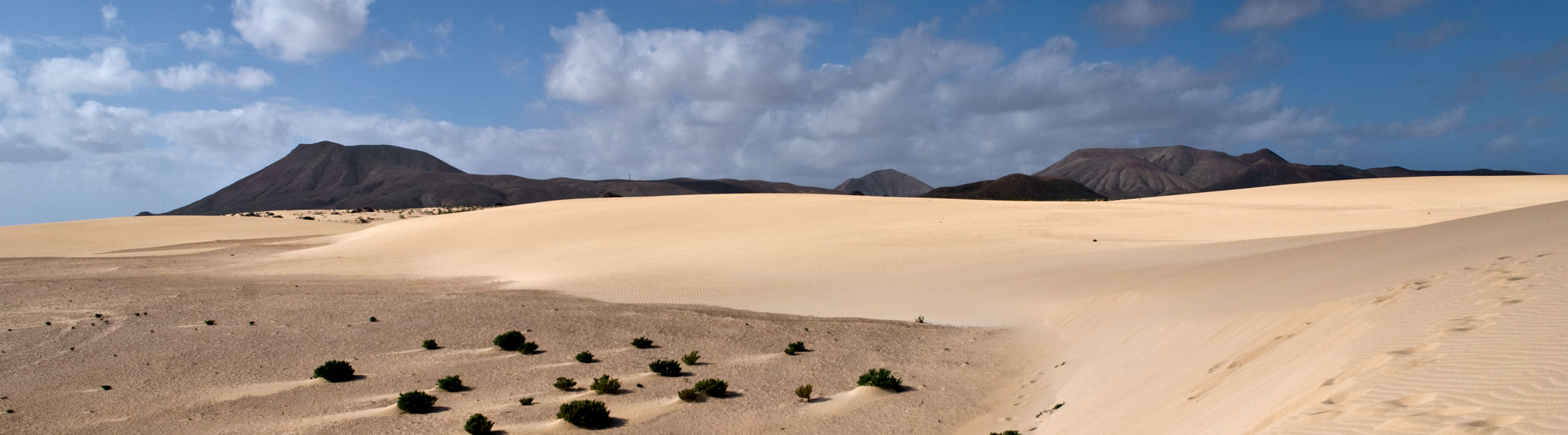 Fuerteventura nord o sud? Come scegliere